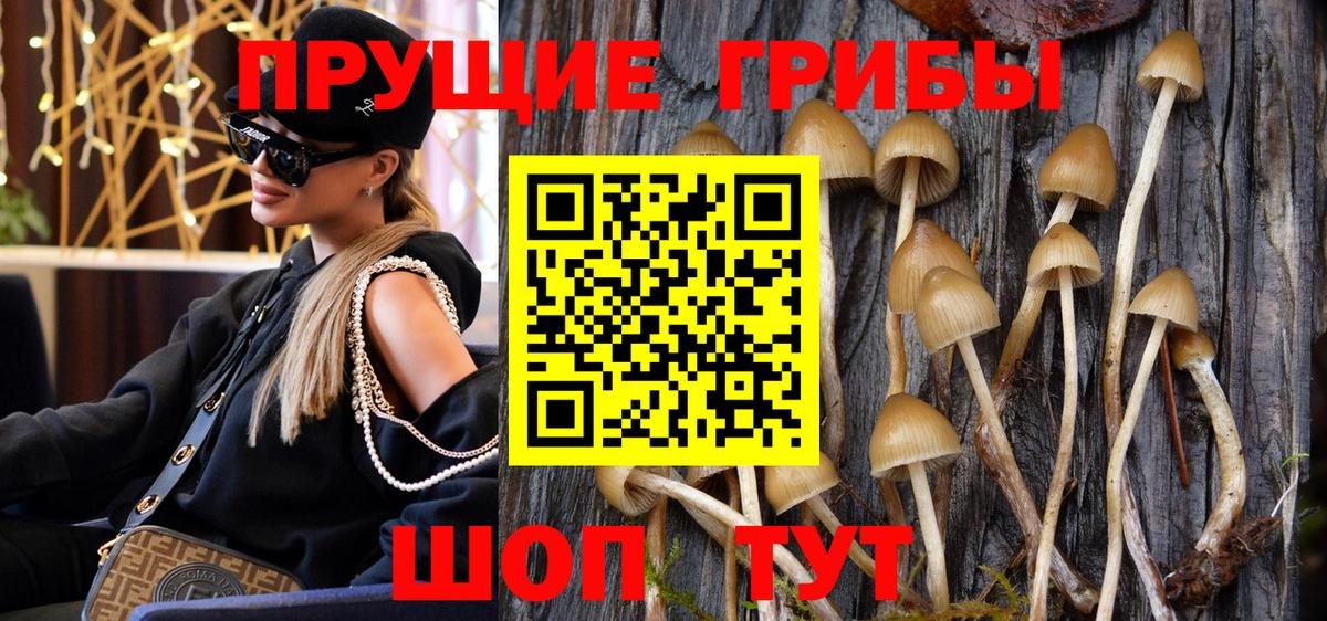 Псилоцибиновые грибы Magic Shrooms Тула